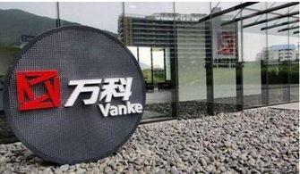 万科爆料最新消息今天,揭秘行业变革背后的秘密!” 第3张 万科爆料最新消息今天,揭秘行业变革背后的秘密!” 第3张